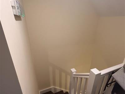 Picture 26